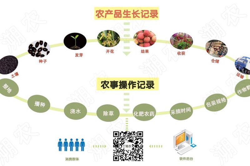 农产品质量追溯